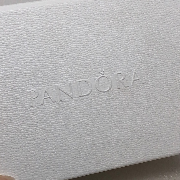 NEW Pandora Jewelry Collectors Cleaning & Storage Kit With Heart Keychain Tool - Picture 8 of 9